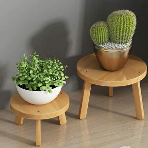 �A�ؔ��u�� �u���� �k���� �X�c�[���^ �ؐ��t�����[�X�^���h �A���� �������ȉԑ� �k���f�U�C�� �ϗt�A���p ���A�������u�� ���^�֎q�^�C�v�v�����^�[�X�^���h