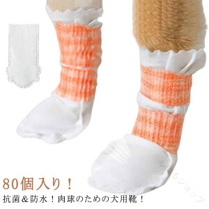 ̌C ĝ ̃V[Y 80i40jZbg hbOu[c sDz _炩 pC C ybg Jo[ CJo[ U ho h ybgC ی ی h~ ĝău