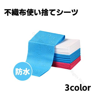 不織布 ペーパーシーツ 防水 ベッドシーツ マッサージ用 エステ用 薄い 使い捨てシーツ 通気性 美容院用 整体 サロン用 シート 穴なし エステ用品 業務用 病院 介護 接骨院 整骨院 鍼灸院 折