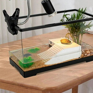 カメ 水槽 飼育ケース 亀 水槽 60×30×29cm らんちゅう水槽 金魚 ボックス タートルタンク 日向ぼっこ台 エサ皿 ミドリガメ クサガメ スッポン 観察 階段 登りやすい カメ 飼育ケース カメボッ