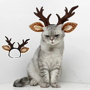  L ybgp J`[V giJC NX}X 蕨 Xq Ԃ  giJCɕϐg LpANZT[ NX}Xp[eB[CxgɍœKȃybgRX`[