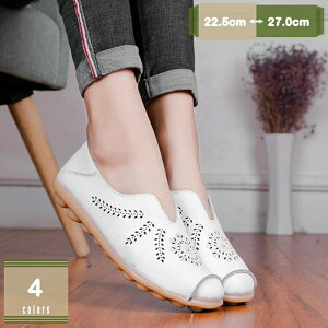 [q[ JV hCrOV[Y [t@[ fB[X  ؂ ɂɂ RtH[gV[Y K i[XV[Y V[Y tďH ₷ ʋ ʊw  }