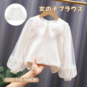 LbY  Vc ̎q uEX qgbvX ݕt ptX[u `[f H~p  Vc WjA w ʊw ʉ tH[}  \  Ǝ 