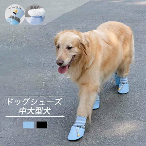 ̌C hbOV[Y C یV[Y Up ₷ 4Zbg ybgpC pV[Y ^ ^ H~ h ʋC ~ N {A  EȂ 