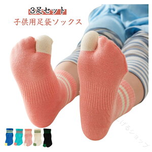 3g ܃\bNX LbY 2{wC  Ԃ qpC Rbg j̎q ̎q N[ X|[c WjA w ǂp  {w\bNX Vvł킢 ʉ ʊw 