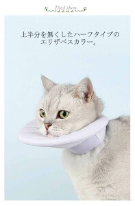 n[tGUxXJ[ ی ̏㔼Ȃn[t^Cv ^ Lp yʃ\tgf ʎgp\ ~h~ rߖh~ TCYȒP pPA XgXy ybgp 