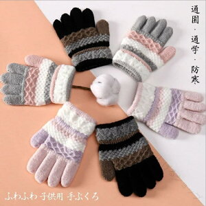 q  ̎q ΍ ʉ ʊw O[u h 5{w g LbY ӂӂ qǂp ct ۈ牀 w wN Ή ~p h΍ɍœKȒgLbYO[