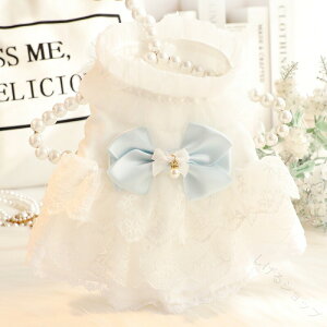   t  L P hX zCg EFfBOhX tbVfUC Č ^ ^ ybg 킢 ŗGߌybgpߑ