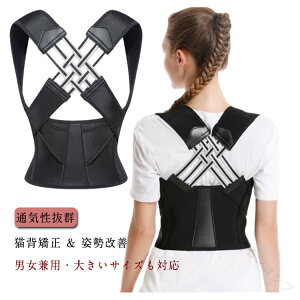 Lw j q pT|[^[ w؋xg    Lwxg fB[X Y Lw xg Ci[  傫TCYΉ