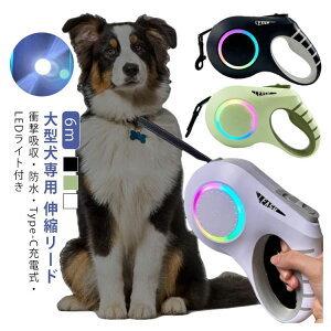 Cgt6m͋CCg^[h[d^b`plUSBLk[hLEDLk錢p^hbO[h[d^b`Type-CˍޓeʓdrԃybgpLkt