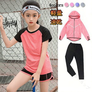 q X|[cEFA LbY z ^ ̎q RvbVEFA tBbglX KK ㉺Zbg g[jOEFA q ̎q ^   MX^Cv X