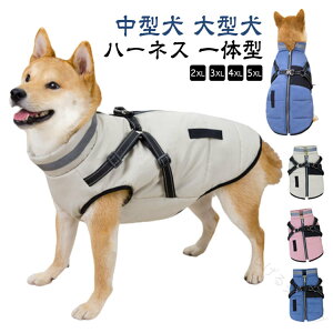   R[g ^ ^ _EWPbg n[lX ̌^ hbOEFA AE^[ WPbg h ~ H~ ybgEFA g  ₷ xXg H ~p ̕ ۉ