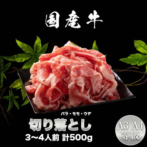 Y A3EA4 ؂藎ƂioEEEfj500g Y؂藎Ƃ  Ε a ̓ ̓@񂹃O@蕨@Mtg@v[g@yGR12z