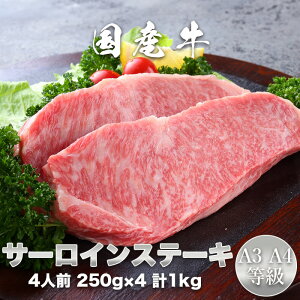 Y A3EA4 T[CXe[L 250g×4 YT[CXe[L  Ε a ̓ ̓@񂹃O@蕨@Mtg@v[g@yGR06z