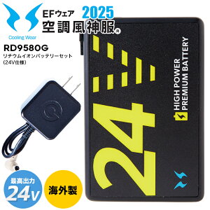 2025Nf TGX 󒲕_p `ECIobe[Zbg 24V RD9580G CO EFEFA V^ 󒲃EFA 󒲍ƕ t@tEFA ƒ