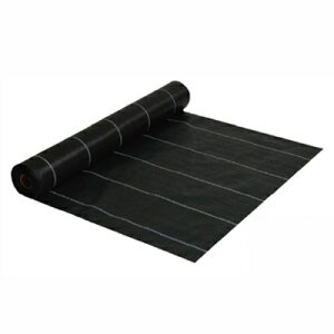 OhoANX-3(ό󐫔\3N)@1m×50myGBC-3EhV[gENETISo^z