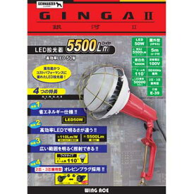 GINGA2(銀河2)【LED投光器・5500lm・IP65・屋外型】