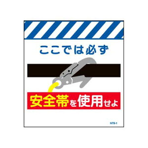 Pǂ̂@NTS-1yPǕWEPǐꖋE^[|EuSтgpvz