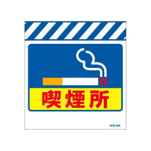 Pǂ̂@NTS-35AyPǕWEPǐꖋE^[|Euivz