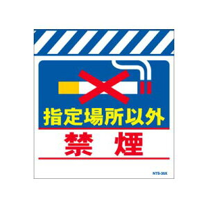 Pǂ̂@NTS-35XyPǕWEPǐꖋE^[|EuwꏊȊO։vz