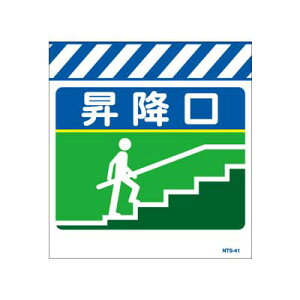 Pǂ̂@NTS-41yPǕWEPǐꖋE^[|Eu~vz