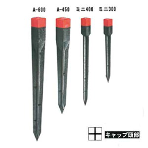 TNC@A-450yEYEWYEGR}[NF菤iz