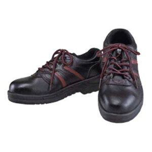 SV[YZC^Cv@JW-750ySCEJSAA AFiEϖEE^wz