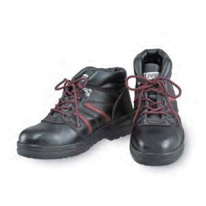 SV[YnCJbg^Cv@JW-760ySCEJSAA AFiEϖEE^wz