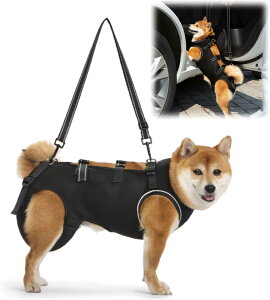 pn[lX  ʋC  pn[lX s⏕ V  pi EȒP V//p//aC ^ ^   r Q nr U  ̑Oƌ둫̕⏕ 