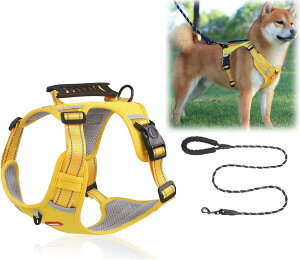 pn[lX [ht 2-45KGΉ p ̎\tg h~ Ȃ ʋC ȒPE TCY\ ˋ@\ S ֑ ^/^/^ p P s⏕ 