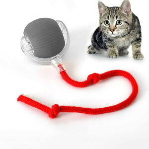 猫じゃらし 電動 スマートな猫犬遊びボール 犬 おもちゃ ボール健康無毒 動走行ボール 動く 回転 障害物検知 光るボール 4種類LEDライト付き 発光回転ボール Type-C充電式 お留守 ペット用ボー