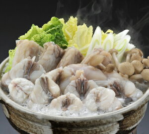 yo׎F11`N3zyzӂZbgi3lOj ӂ tO Ă j j Ԃ  Mtg 3lO ӂ  Zbgyz