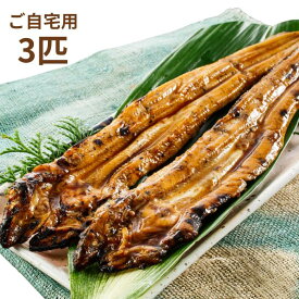 【20%オフクーポン】【お試しセット】炭火焼き穴子3匹 簡易包装 あなご 穴子 ご自宅用 試食 炭火焼