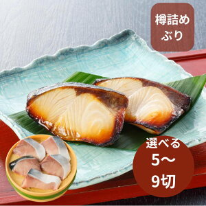 Ԃ݂̂ 5؁`9 j j Ԃ   Mtg Ε ~Mtg