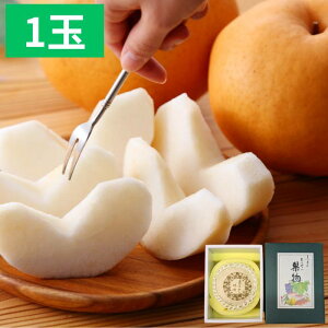  Ȃyo׎11{`12{zRY  1 750g`800g p ʕ t[c Mtg Ε ~Mtg Ε