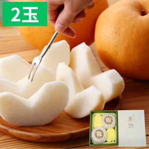  Ȃyo׎11{`12{zRY  2 750g`800g×2 p ʕ t[c Mtg Ε ~Mtg Ε