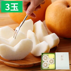  Ȃyo׎11{`12{zRY  3ʁi750g`800g×3jp tʕ t[c Mtg Ε ~Mtg Ε