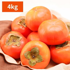 yo׎11z` xL` ޗǌY xL` 2.5kg 8`10ʈʁ`4kg 13`15ʈ p t[c ʕ  JL p Mtg Ε ~Mtg Ε