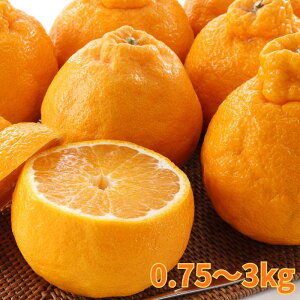 ꌧ x13xȏyo׎F12{znEXfR| 0.75kgi3ʈʁj`3kgi8`10ʈʁjp fR| ʕ Mtg Ε ~Mtg Ε ZT[