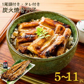 【20%オフクーポン】炭火焼き穴子 5匹 6匹 7匹 9匹 11匹 お祝 内祝 お返し お取り寄せ ギフト やき穴子 あなご 炭火 2026