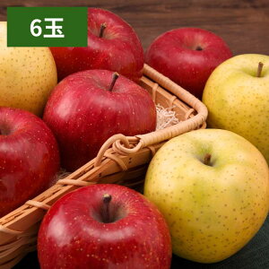 青森県産 長野県産 りんご 蜜入り【出荷時期11月下旬〜12月中旬】りんご詰合せ 4玉 王林2玉 サンふじ2玉〜 6玉 王林3玉 サンふじ3玉 生食用 リンゴ 林檎 産地 おいしい 家庭用 完熟 甘い お取り