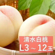 【250円オフクーポン】岡山県産 清水白桃 特級 Lサイズ 3～12玉【出荷時期7月中旬～7月下旬頃】 2026 お…