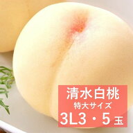 【250円オフクーポン】岡山県産 清水白桃 特大 3Lサイズ 3玉 5玉【出荷時期7月中旬～7月下旬頃】2026 お…
