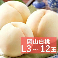 【250円オフクーポン】岡山県産 岡山白桃 Lサイズ 3～12玉【出荷時期8月～8月10日頃】 2026 お中元 品種 …