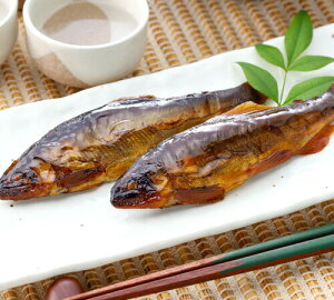 yẑ j j Ԃ  Mtgi6Cj̊ØI  ØI