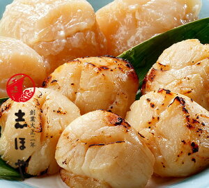 yzقĊL̔ j j Ԃ   Mtg600g(6×2܁EMl)