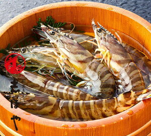 yF3zyo׎F12zyzԂ 210gi7`8Cj`660gi21`23CjMtg 2025 Ε ~Mtg Ε syN[ցz