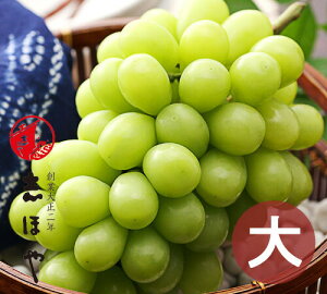 シャインマスカット 特大 約850g【出荷時期:11月4日〜11月中旬頃】 岡山 種なし ぶどう ギフト フルーツ  1房