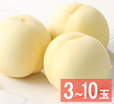 白皇 超特級 2Lサイズ 3～10玉【出荷時期：8月15日～8月下旬頃】岡山 白桃 ギフト お供 お取り寄せ もも 夏ギフト フルーツ 果物 おかやまの桃 ※沖縄・離島への配送不可