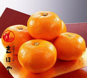 ݂ Qyo׎F11{`12{zyzQY ɏ݂ 3kgi33`36ʁjZT[I p ʕ Mtg 2025 Ε ~Mtg Ε Â ~J t[cMtg